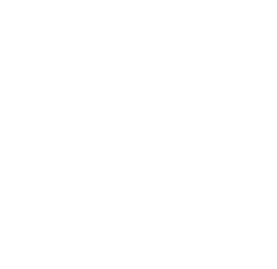 SalcoBrand